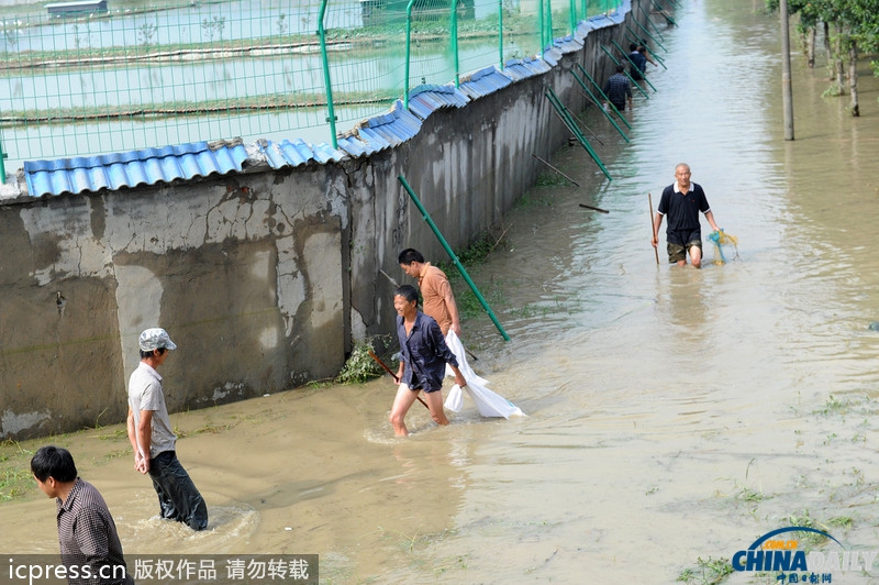 浙江杭州：洪水冲毁养鳖场 众人纷纷下河捉“王八”