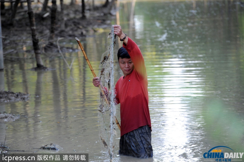 浙江杭州：洪水冲毁养鳖场 众人纷纷下河捉“王八”