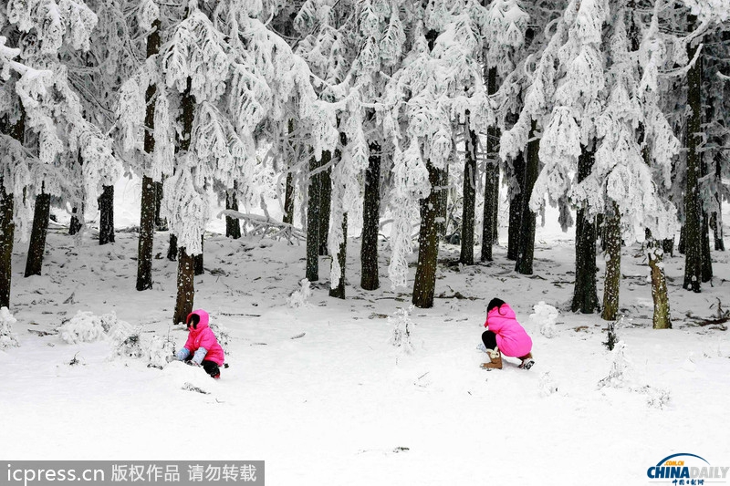 重庆武隆迎来最大降雪 银装素裹分外妖娆