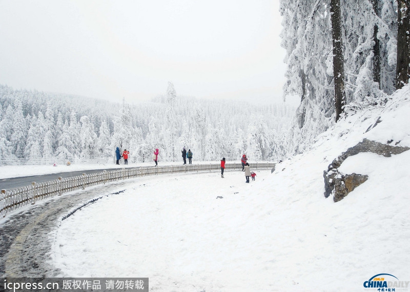 重庆武隆迎来最大降雪 银装素裹分外妖娆