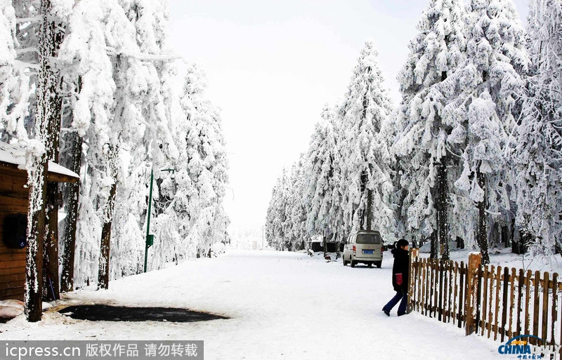 重庆武隆迎来最大降雪 银装素裹分外妖娆