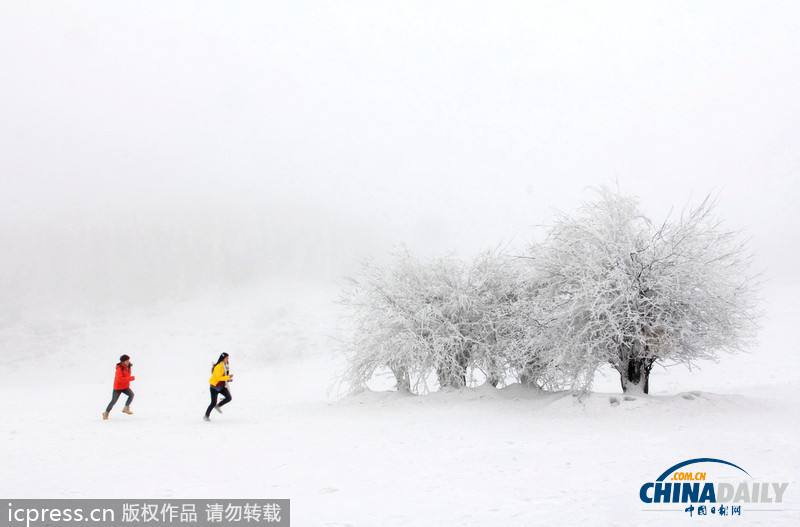 重庆武隆迎来最大降雪 银装素裹分外妖娆