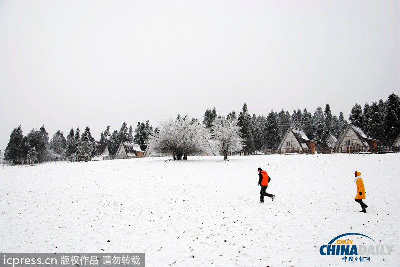 重庆武隆迎来最大降雪 银装素裹分外妖娆