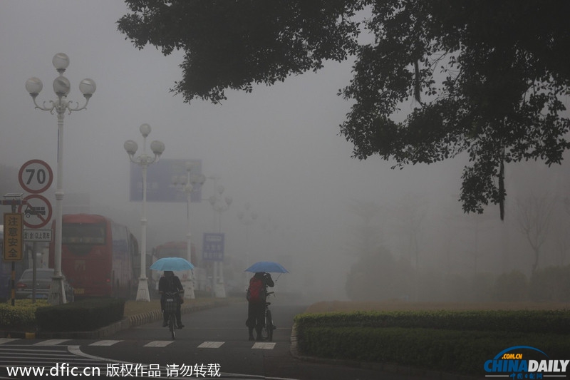 广东珠海：浓雾笼城似走在仙境 信号灯成“指路明灯”