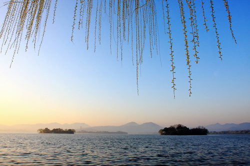 西湖春景动人心(组图)