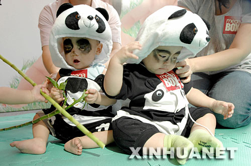 熊猫宝宝赛爬行 