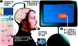 美国瘫痪男子借助电脑芯片实现意念移物(图)