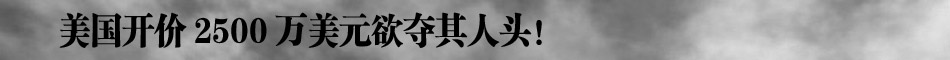 塔利班领导人奥马尔生死成谜