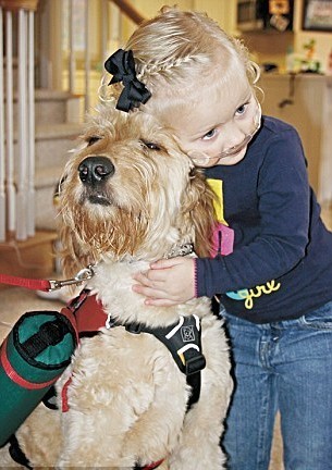 服务犬背氧气瓶随时陪伴 病重女孩享自由生活