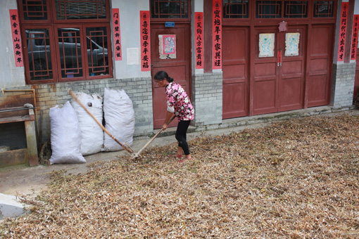 生态贵阳打造“绿色长城”