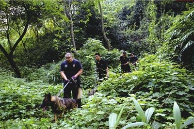 重庆警方否认发周克华尸检照 歌乐山解除封山令