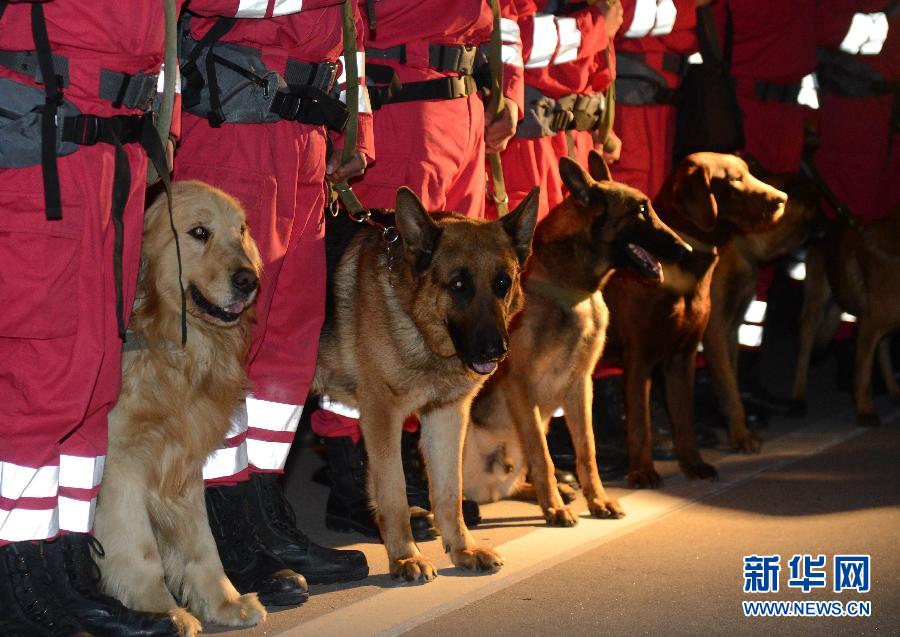 图集：灾难中那些让人安心的身影