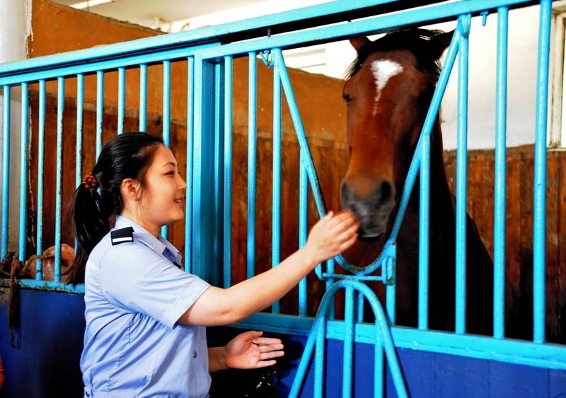 每匹马养护成本2500元/月?探秘大连女骑警训练基地