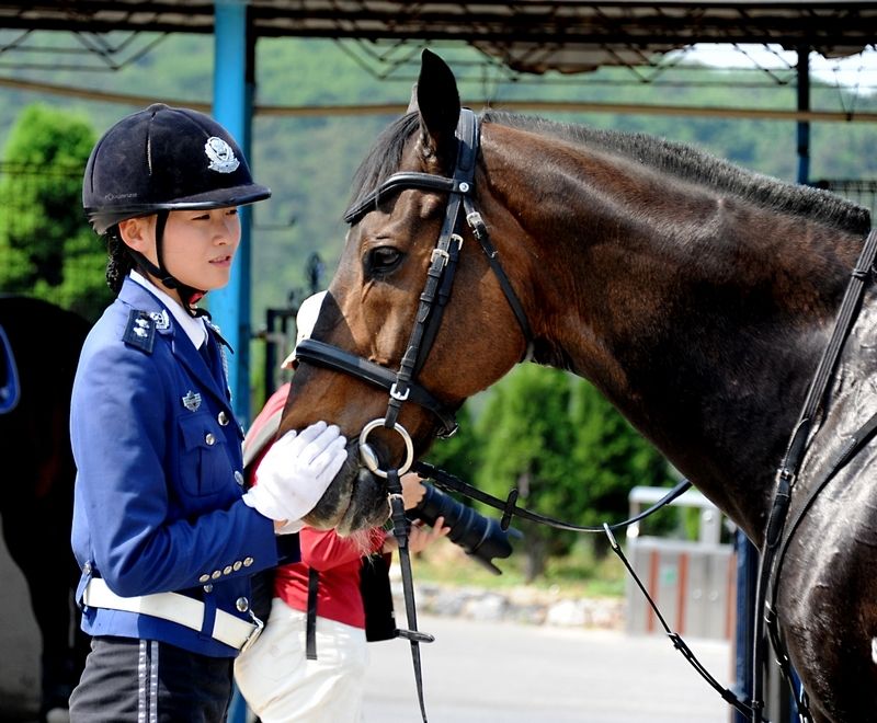 每匹马养护成本2500元/月?探秘大连女骑警训练基地