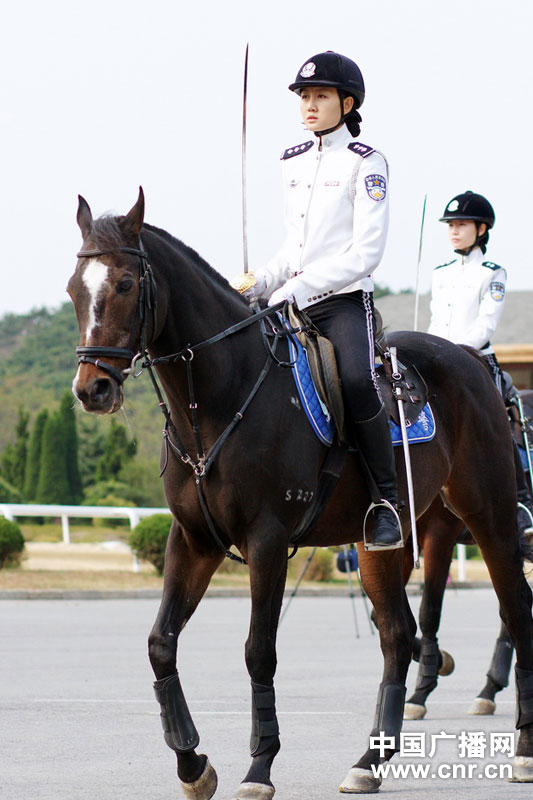 每匹马养护成本2500元/月?探秘大连女骑警训练基地