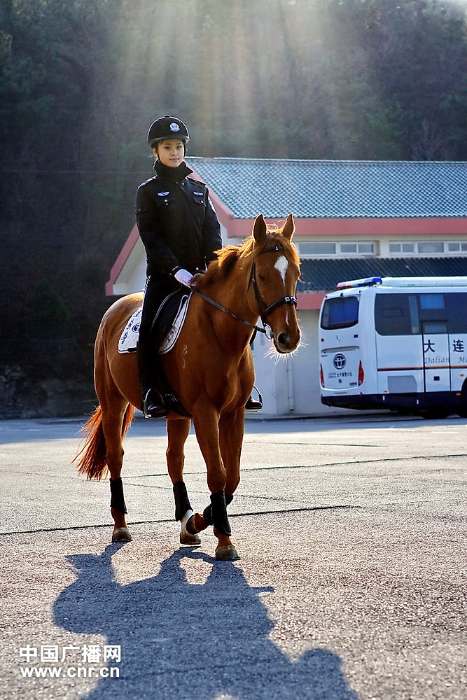 每匹马养护成本2500元/月?探秘大连女骑警训练基地