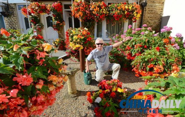 英国74岁盲人种植鲜艳花卉 靠触觉和嗅觉做园艺