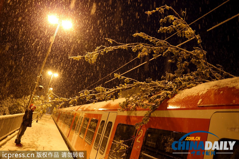 德国巴伐利亚大雪成灾 铁路交通陷于瘫痪（图）