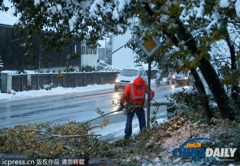 德国巴伐利亚大雪成灾 铁路交通陷于瘫痪（图）