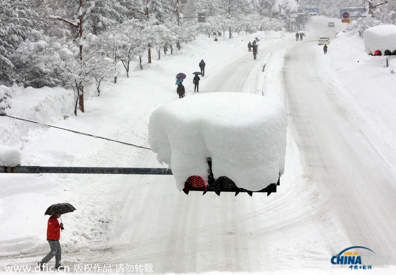 韩国暴雪持续5日 汽车被埋红绿灯遭积雪覆盖