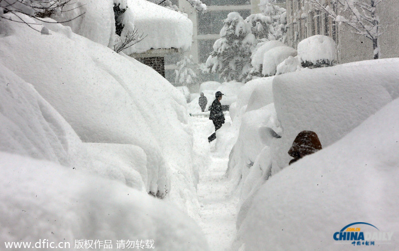 韩国暴雪持续5日 汽车被埋红绿灯遭积雪覆盖