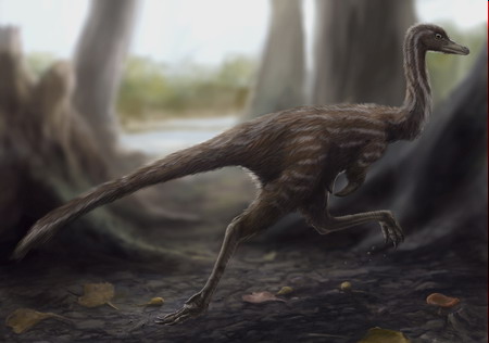 First-ever single-claw dinosaur fossil found in China