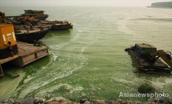 Blue-green algae emerges in Chaohu Lake