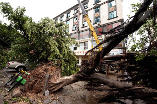 Typhoon Meranti kills three in east China province