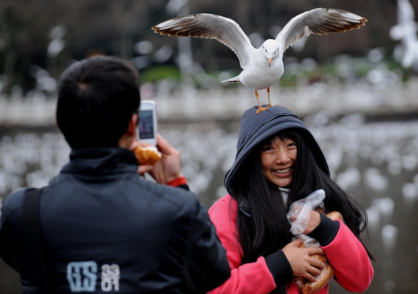 Cold wave hits S China's spring city
