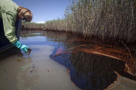 Louisiana marshes hit by Gulf oil slick