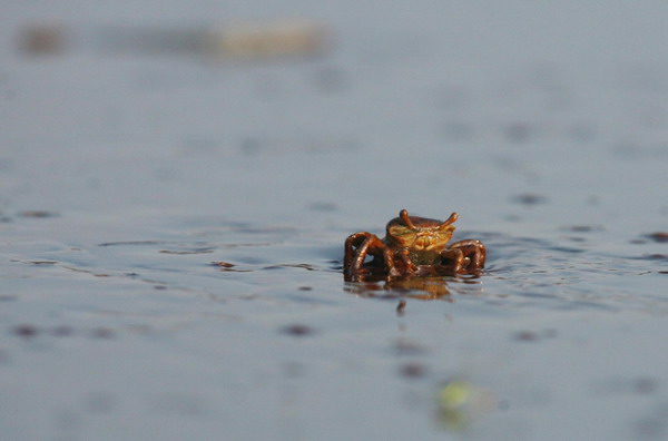 Latest photos of BP oil spill in Bay Jimmy