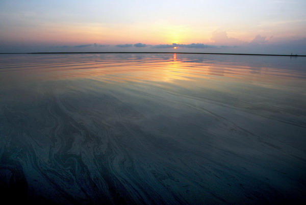 Latest photos of BP oil spill in Bay Jimmy