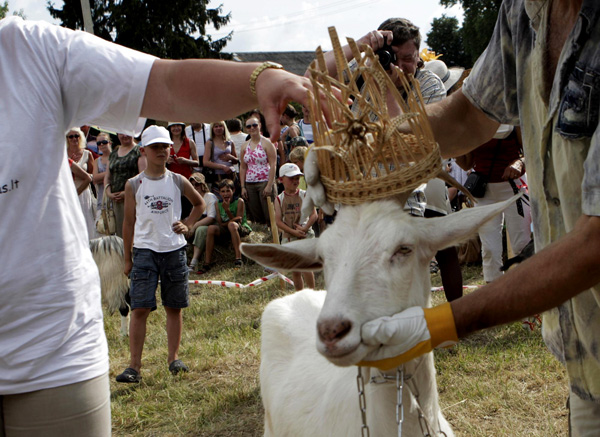 Goat 'beauty contest' in Lithuania