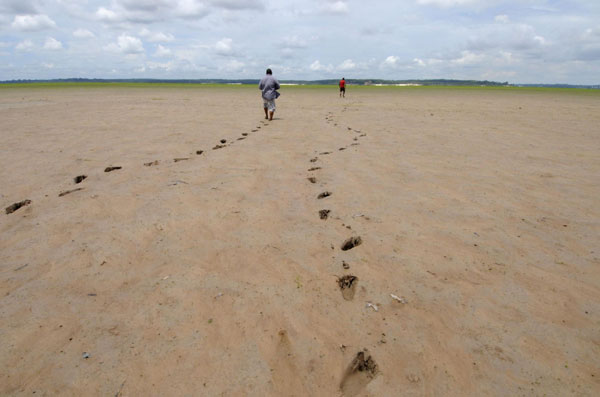 Brazil's Amazon region suffers severe drought