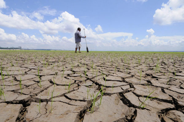 Brazil's Amazon region suffers severe drought