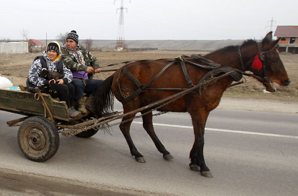 Horsemeat crisis sparks calls for DNA food tests in Europe