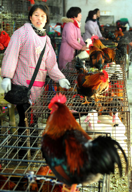 Bird flu scare prompts more countermeasures