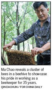 Beekeeper's life sweet as honey despite hardship