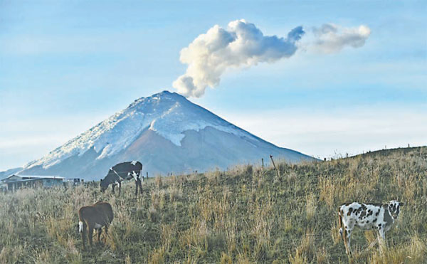 Scientists keep watchful eye on volcano