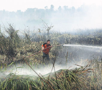 Study estimates 100,000 premature deaths from haze