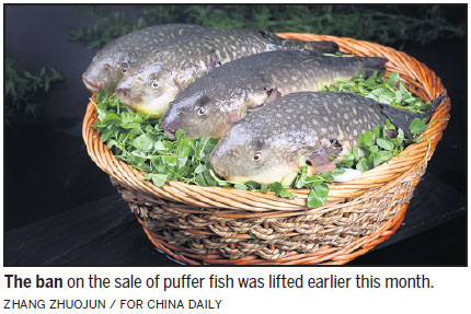 China OKs puffer fish encore on restaurant tables