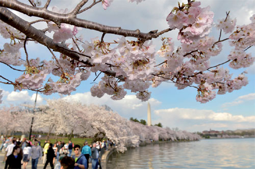 Washington pitched to tourists