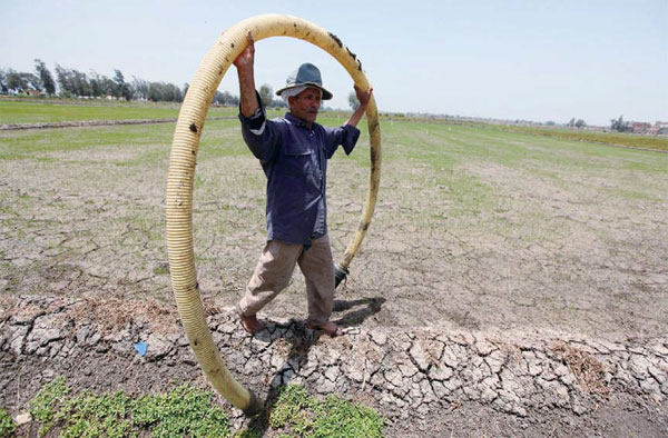 Devil is in detail when El Nino strikes