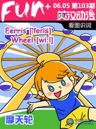 Ferris Wheel 摩天轮