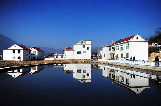 人间四月天 岳西花正红