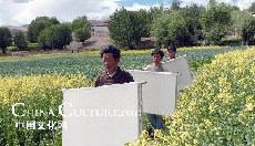 Tibetan paper