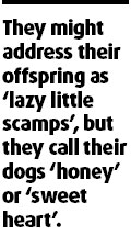 Dog suits and dung among my pet hates