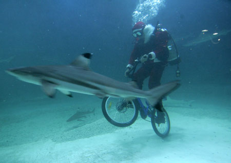 A diver in a Santa Claus costume rides a bicycle in the shark aquarium