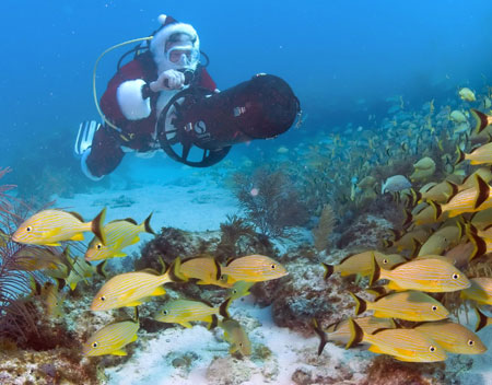 A diver in a Santa Claus costume rides a bicycle in the shark aquarium