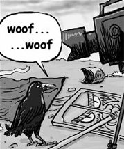 Tourists flock to see crow that talks and barks